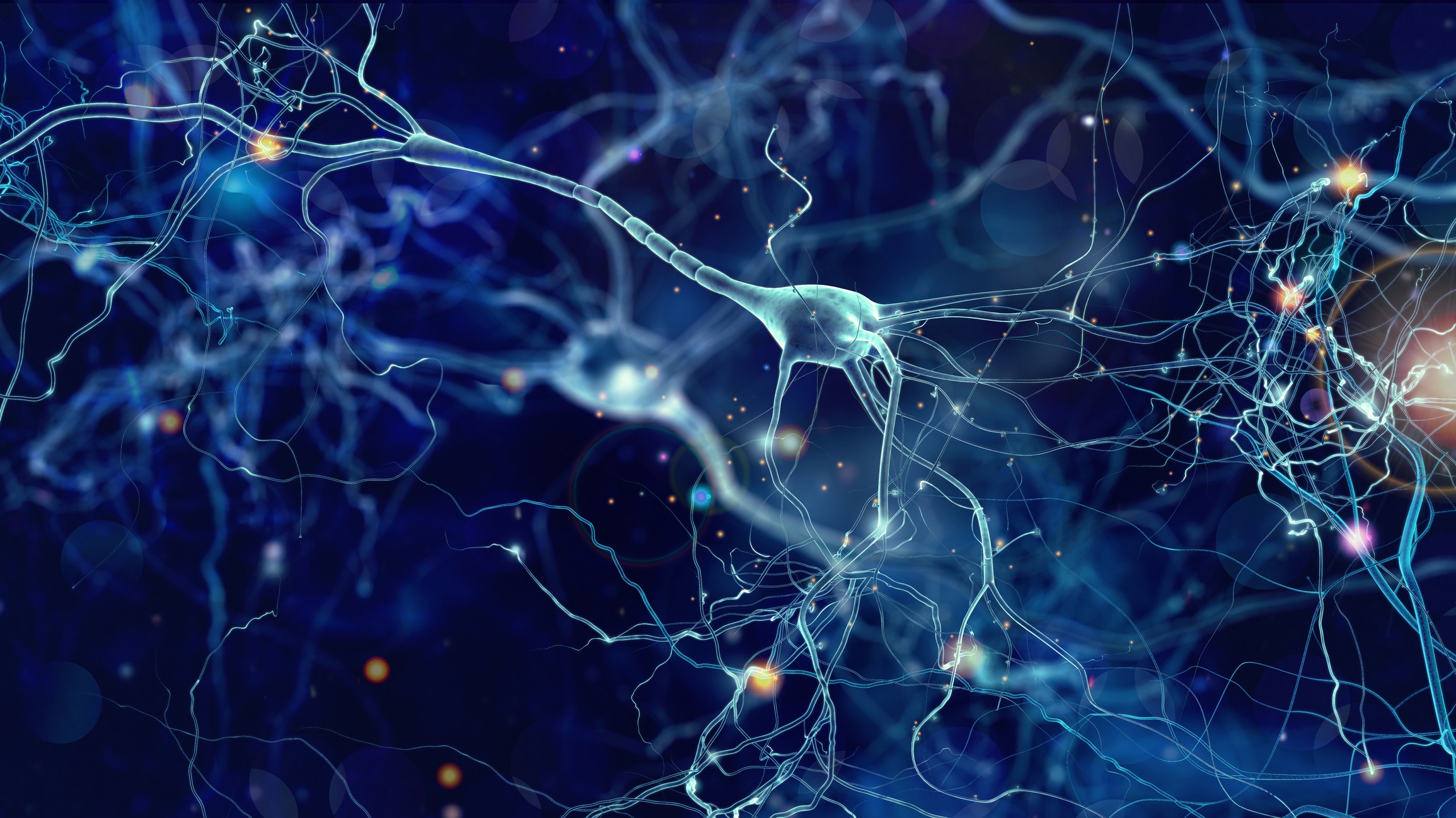 Neuronas: Qué son éstas células y cómo funcionan