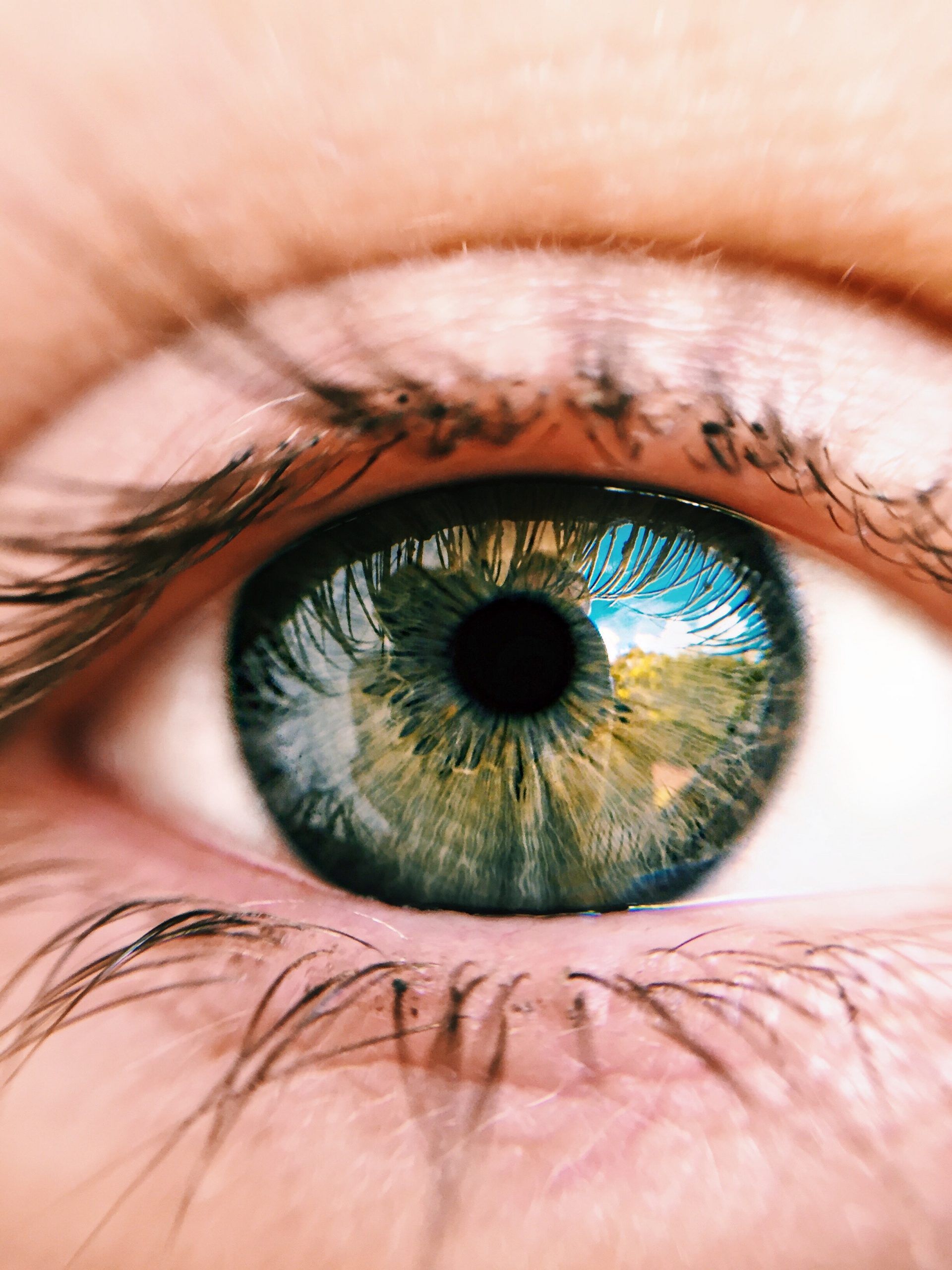 Ojo humano: ¿Cómo funciona la vista?