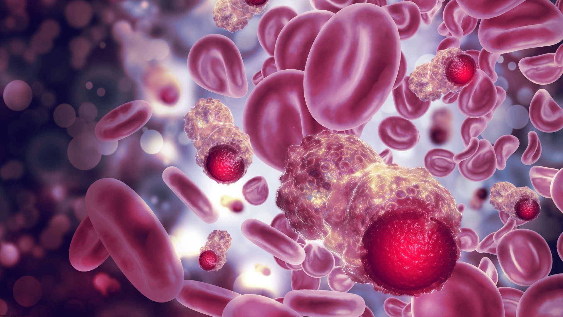 ¿Cómo prevenir el cáncer?
