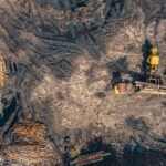 Imagen aérea que muestra maquinaria industrial cargando troncos en un área deforestada, representando el impacto ambiental asociado a la producción de aceite de palma.