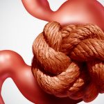 Estreñimiento: Ingiere estos alimentos y vuelve a la normalidad