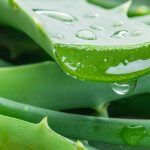 ¿Cómo regenerar tu piel de manera natural?
