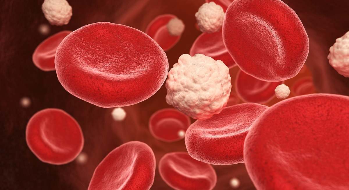 Las mejores opciones para reducir los niveles de azúcar en la sangre