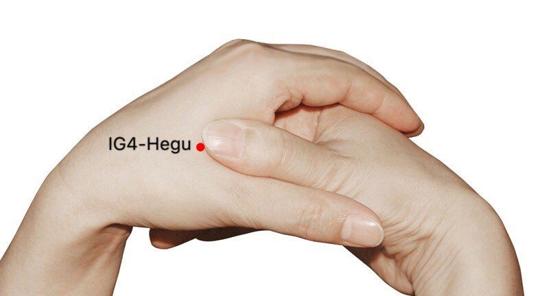 Hegu (G4): El Punto Maestro de la Acupuntura