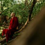 Persona meditando en la naturaleza practicando meditación Vipassana, inspirada en la visión de conciencia de Jacobo Grinberg.