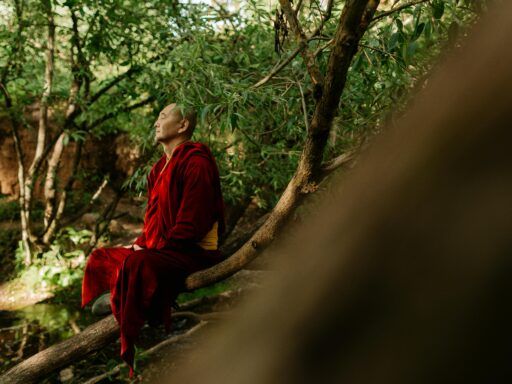 Persona meditando en la naturaleza practicando meditación Vipassana, inspirada en la visión de conciencia de Jacobo Grinberg.
