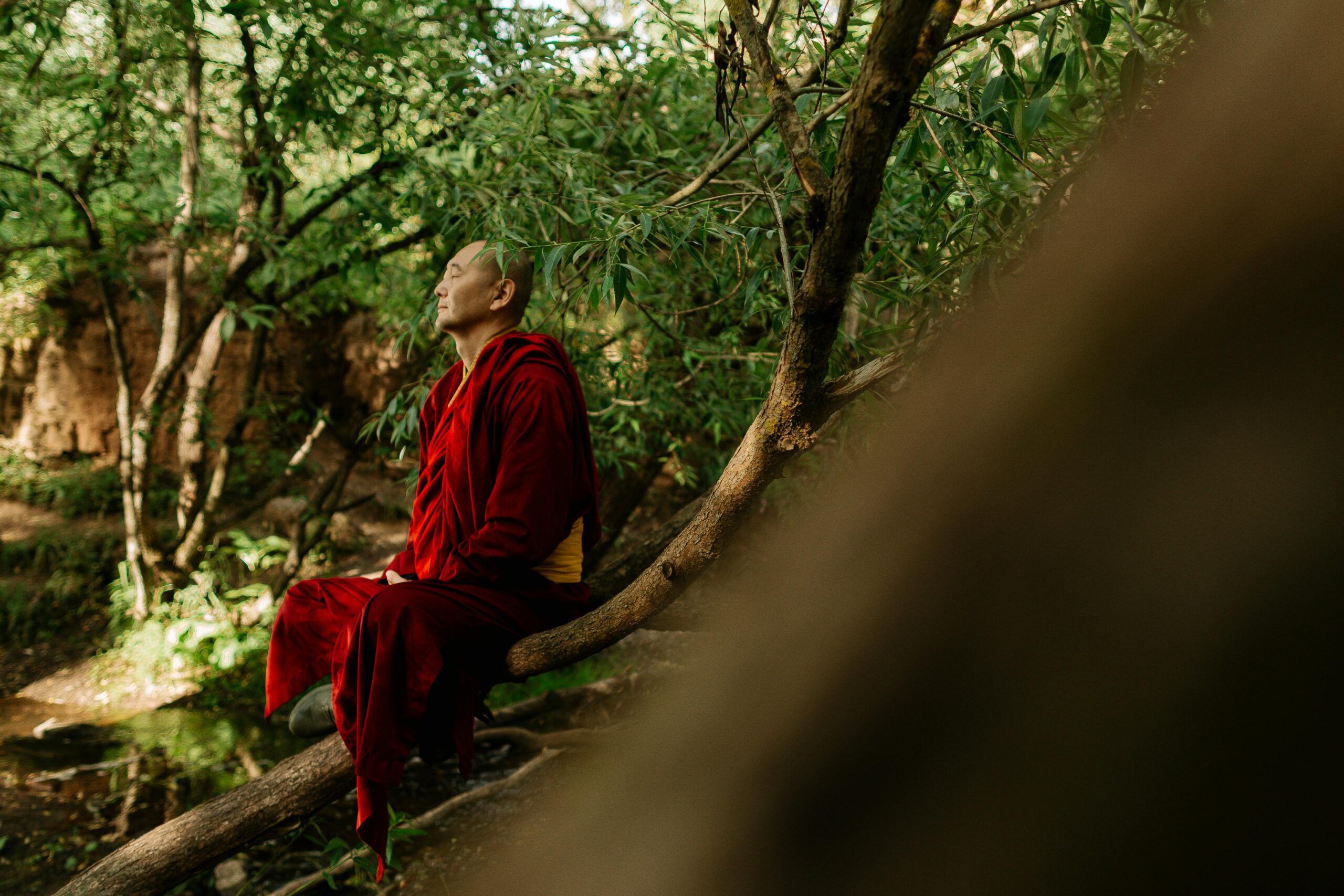 Persona meditando en la naturaleza practicando meditación Vipassana, inspirada en la visión de conciencia de Jacobo Grinberg.