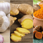 Los 10 Antibióticos Naturales más Poderosos