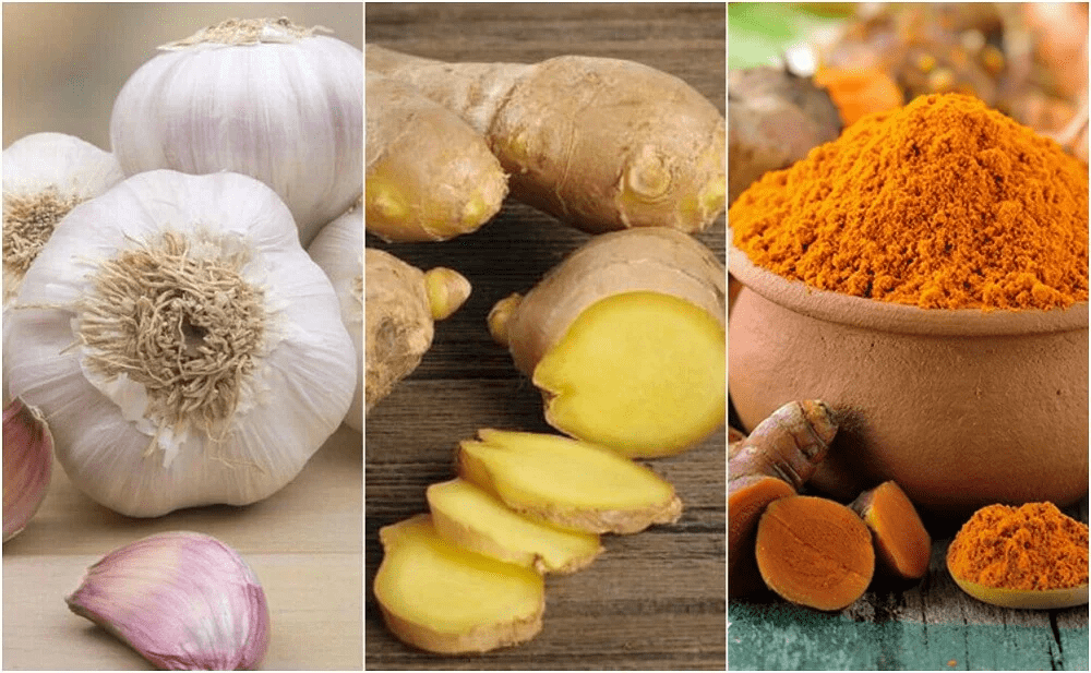Los 10 Antibióticos Naturales más Poderosos