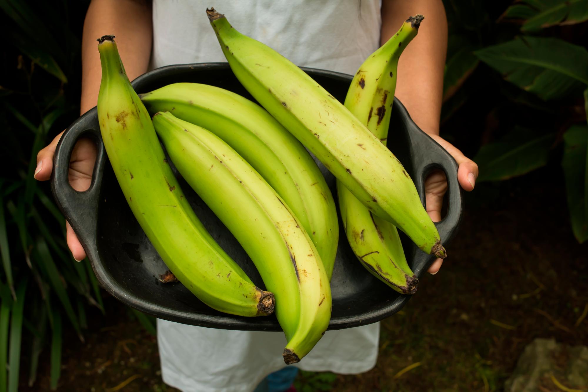 Los Beneficios de los Plátanos Verdes para la Salud Intestinal