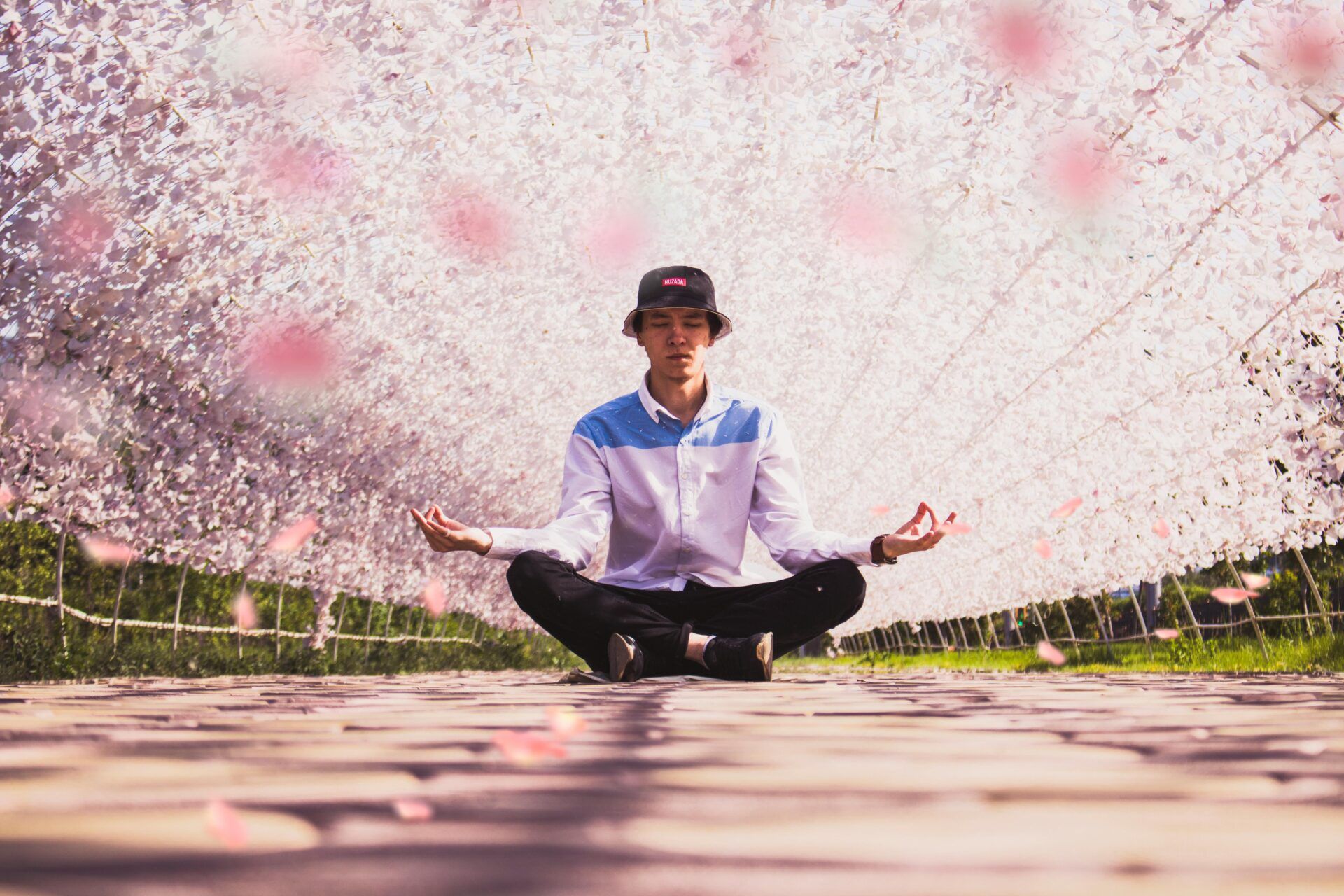 Hombre meditando en posición de loto bajo árboles en flor, simbolizando calma, equilibrio interior y el poder de los mantras para transformar la vida.