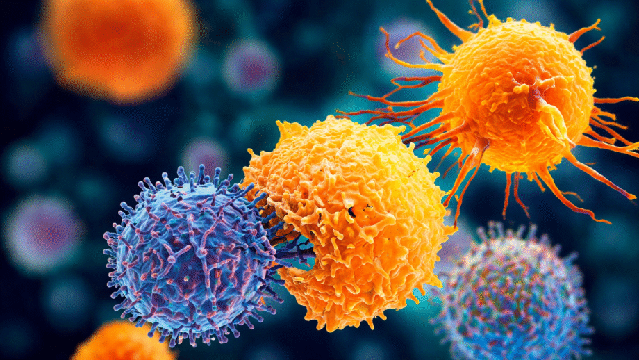 Ilustración de células inmunitarias atacando células cancerosas con mutación del gen KRAS en un entorno microscópico colorido.