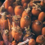 Zanahorias frescas de color naranja, algunas dentro de una bolsa de plástico.