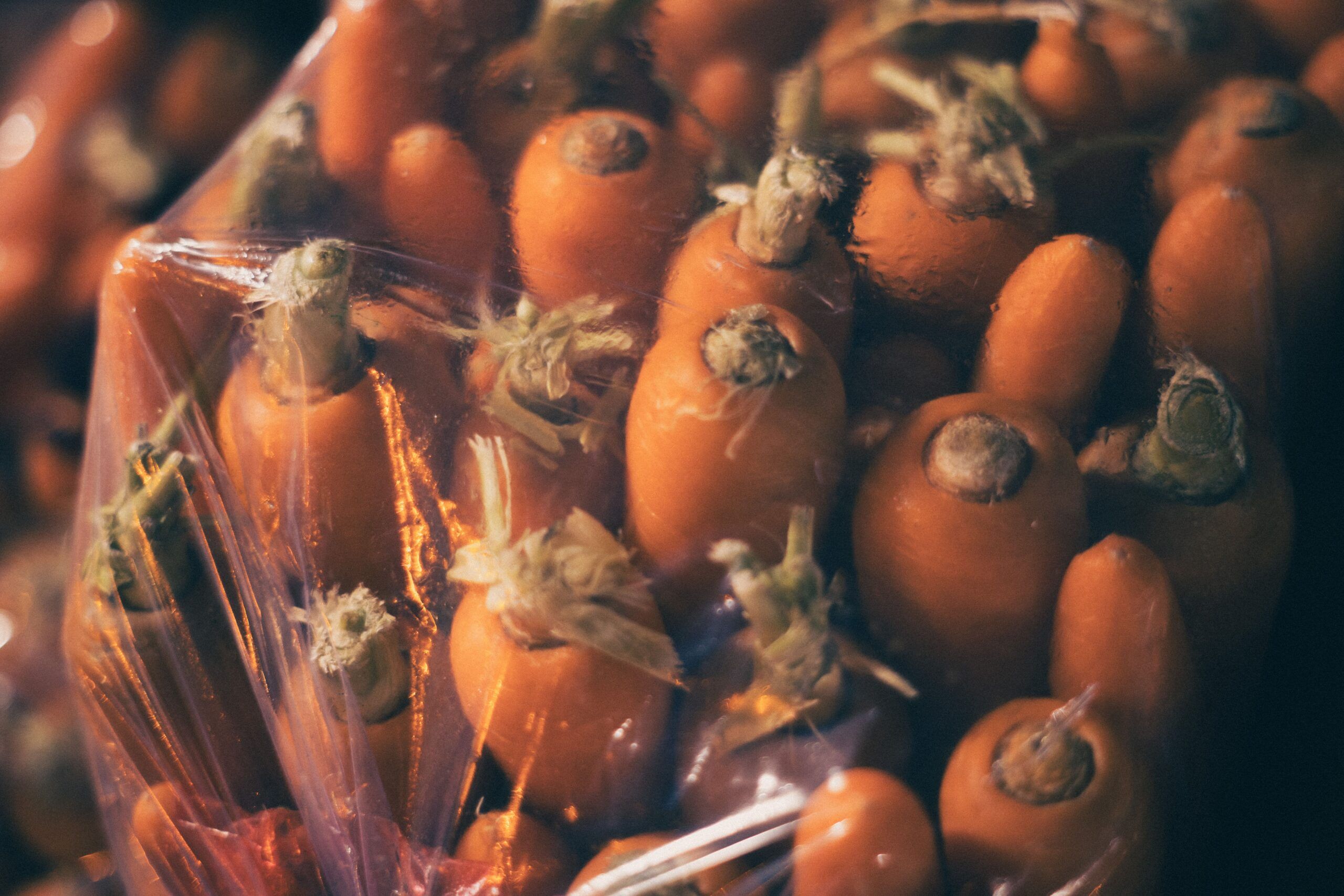 Zanahorias frescas de color naranja, algunas dentro de una bolsa de plástico.